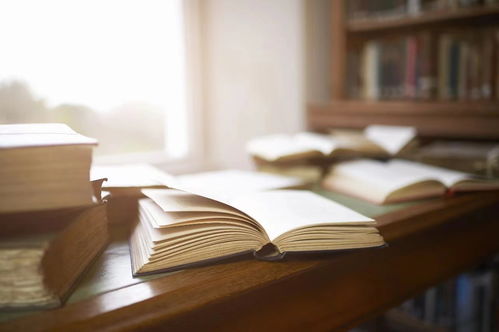 江蘇一周 踏春提速，向春而行——軟件開發(fā)行業(yè)春意盎然